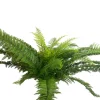 CRI Extra Large Fern