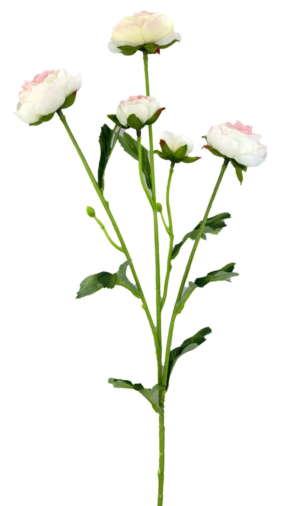 Liberty Floral Five Bloom Ranunculus Spray