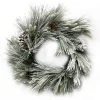 Liberty Floral Flocked Long Needle Pine Wreath, 24"