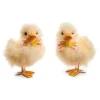 RAZ Fluffy Yellow Duck with Bow