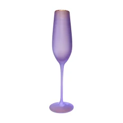 Glitterville Frosted Champagne Flute by