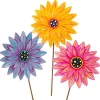 The Round Top Collection Gerber Daisy