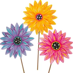 The Round Top Collection Gerber Daisy
