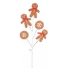 Direct Export Co. Gingerbread Spray