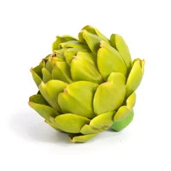 CRI Green Artichoke, Large