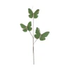 Direct Export Co. Green Butterfly Pick