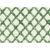 Hester & Cook Green Lattice Placemat Set