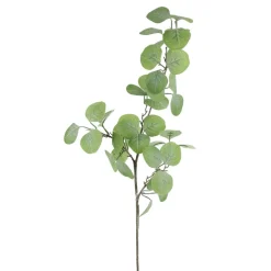 Direct Export Co. Green Leaf Spray