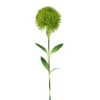 Direct Export Co. Green Pin Cushion Stem