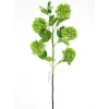 Direct Export Co. Green Snowball Spray
