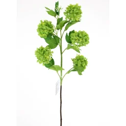 Direct Export Co. Green Snowball Spray