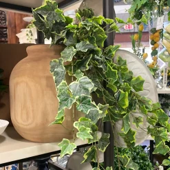 CRI Hanging Ivy Varigated, 28