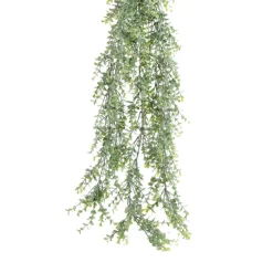 CRI Hanging Mini Eucalyptus