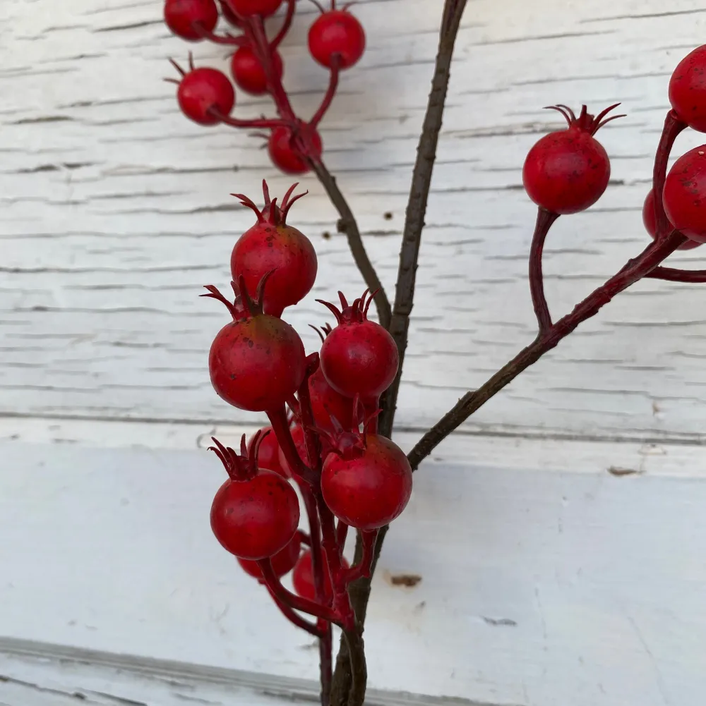 Regency Harvest Crabapple Spray
