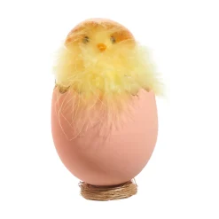 RAZ Hatched Egg in Nest