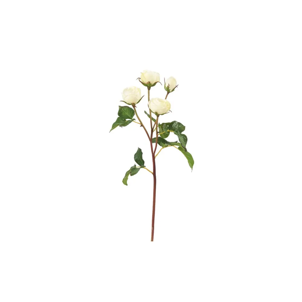 Winward Heritage Rose Spray, White