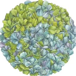 Hester & Cook Hydrangea Placemat Set
