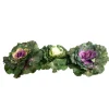 CRI Large Leafy Cabbage