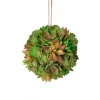 Regency Larger Green Brown Succulent Orb