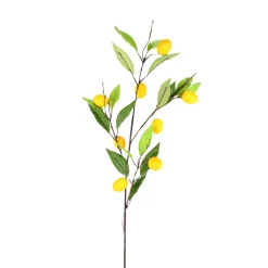 Direct Export Co. Lemon Branch