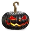 RAZ Lighted Black Jack O Lantern