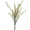CRI Light Green Berry Bundle