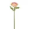 Winward Light Mauve Ranunculus Stem, 22"