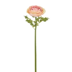Winward Light Mauve Ranunculus Stem, 22"