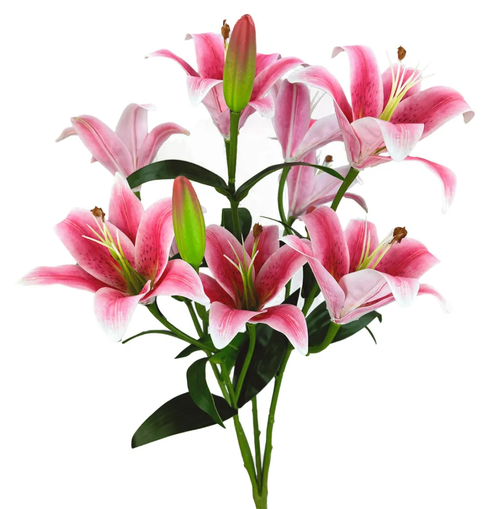 Liberty Floral Lily Bush