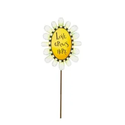 The Round Top Collection Love Grows Daisies