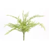 Direct Export Co. Lush Fern Garden Bush
