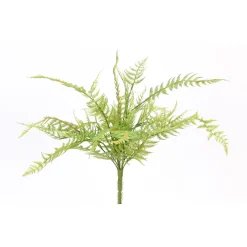 Direct Export Co. Lush Fern Garden Bush