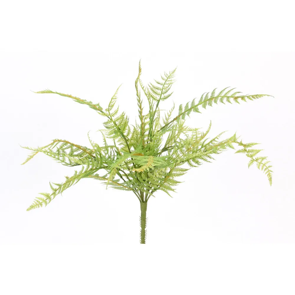 Direct Export Co. Lush Fern Garden Bush
