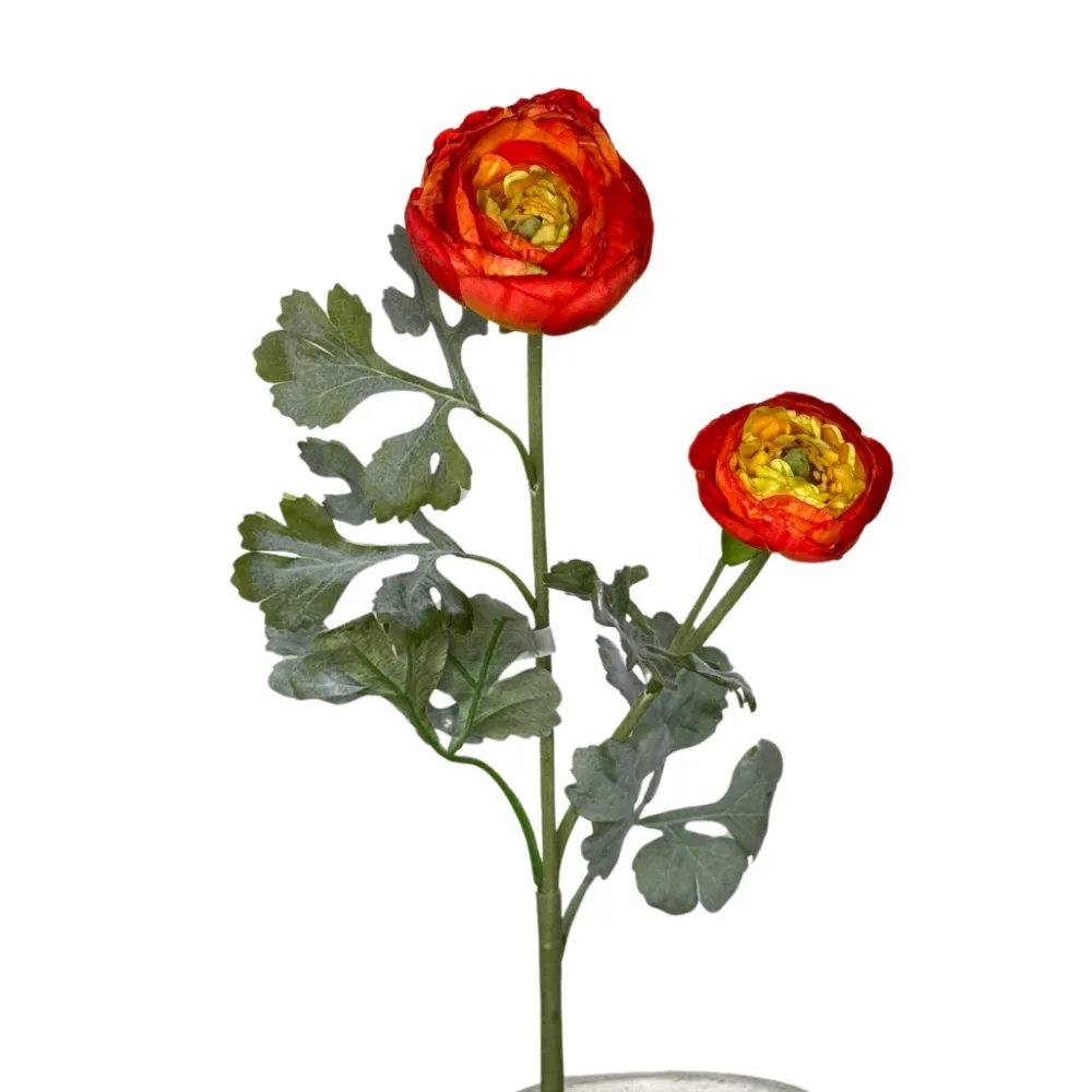 CRI Lush Ranunculus Spray