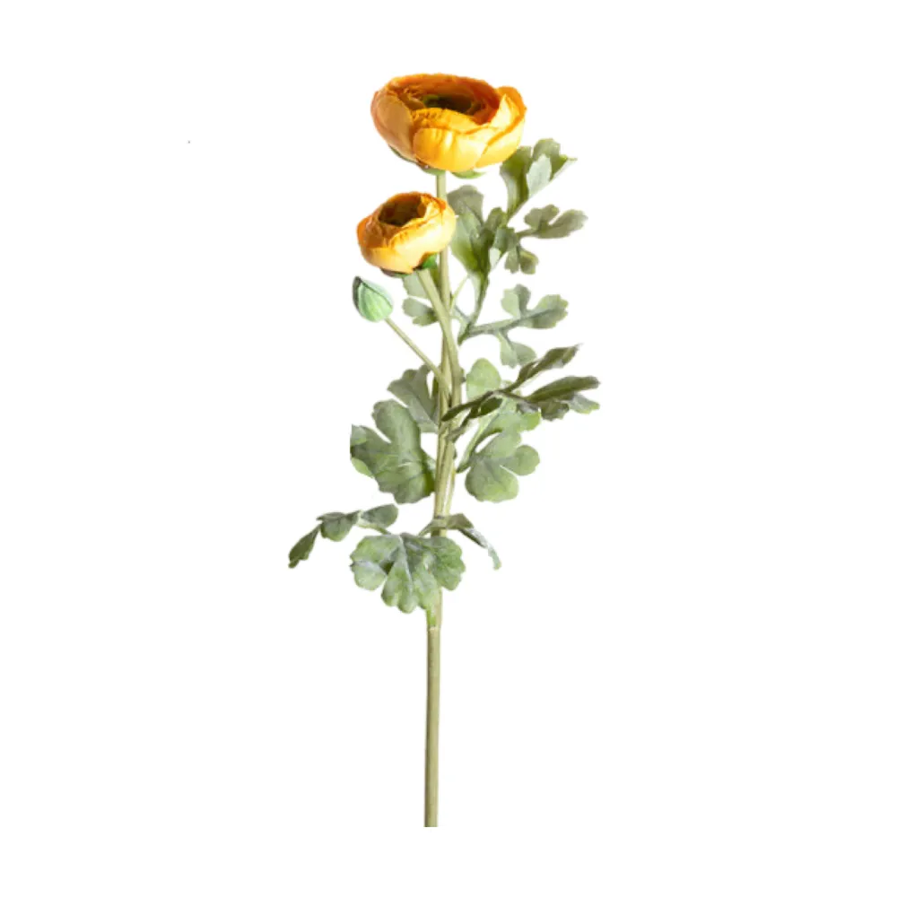 CRI Lush Ranunculus Spray