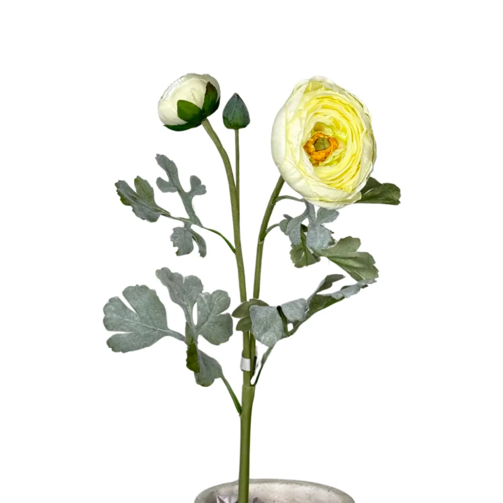 CRI Lush Ranunculus Spray