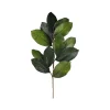 Craig Bachman Magnolia Leaf Spray