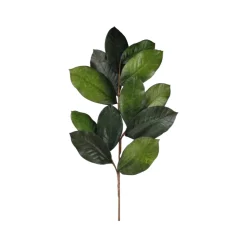 Craig Bachman Magnolia Leaf Spray