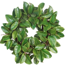 Winward Magnolia Leaf Twig Wreath, 24"