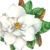 Hester & Cook Magnolia Placemat Set