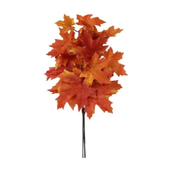 Craig Bachman Maple Leaf Bush
