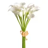 CRI Mini Calla Lily Bundle, Cream