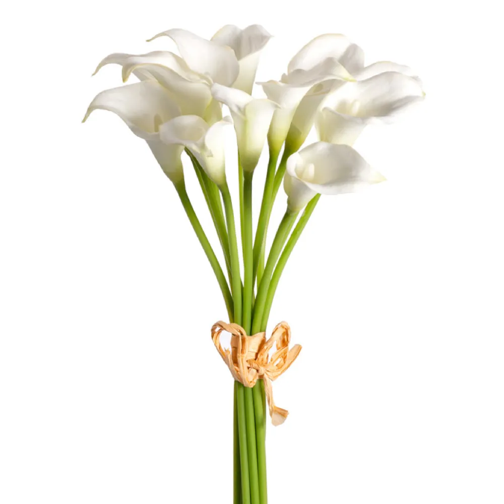 CRI Mini Calla Lily Bundle, Cream