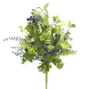 CRI Mix Berry Bush, Blue