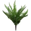 Craig Bachman Mixed Fern Bush