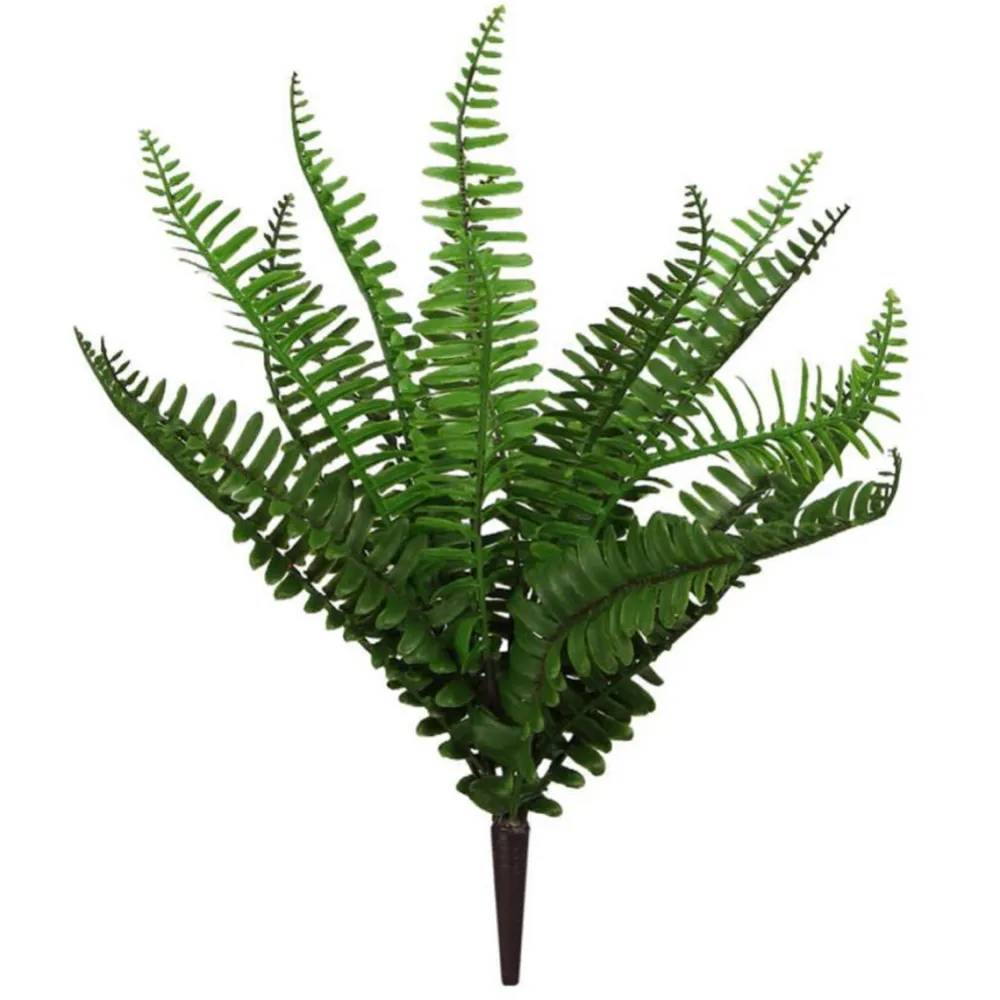 Craig Bachman Mixed Fern Bush