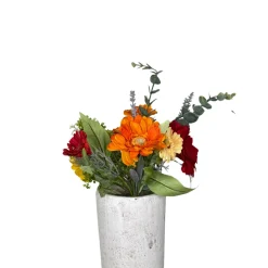 CRI Mixed Gerbera Bush