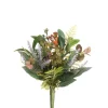 CRI Mixed Succulent Bundle Pick