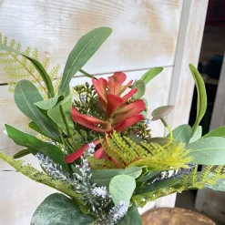 CRI Mixed Succulent Bundle Pick