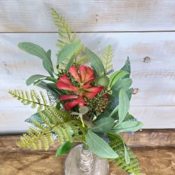 CRI Mixed Succulent Bundle Pick